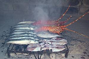 Ryby, olihně a langusty na grilu